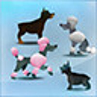 Достижение Watch The Credits в игре Fetch для Steam
