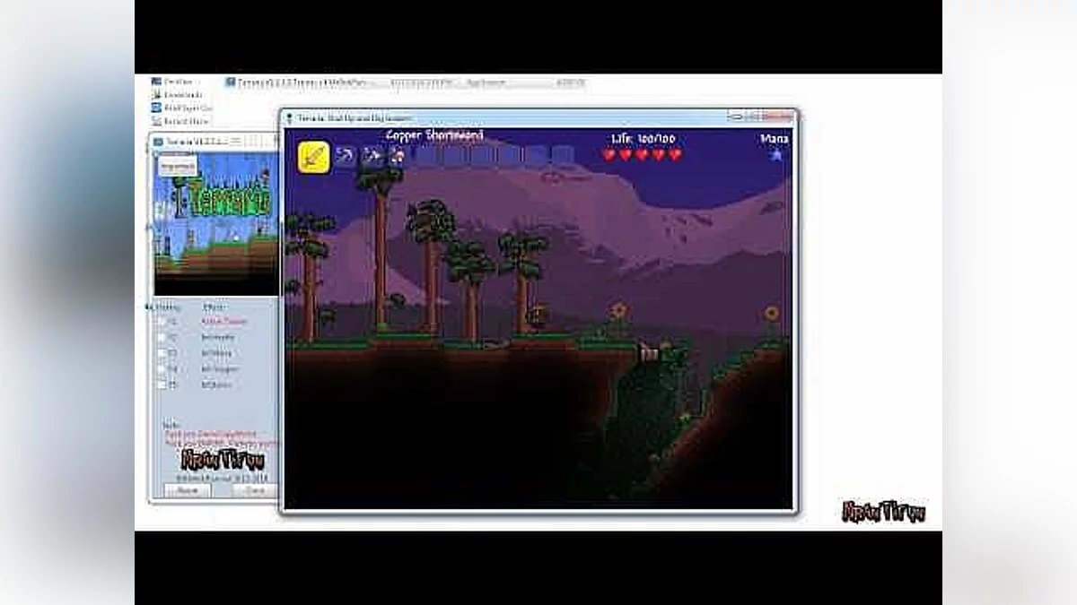 Трейнер / Trainer (+4) [1.3.3] [MrAntiFun]