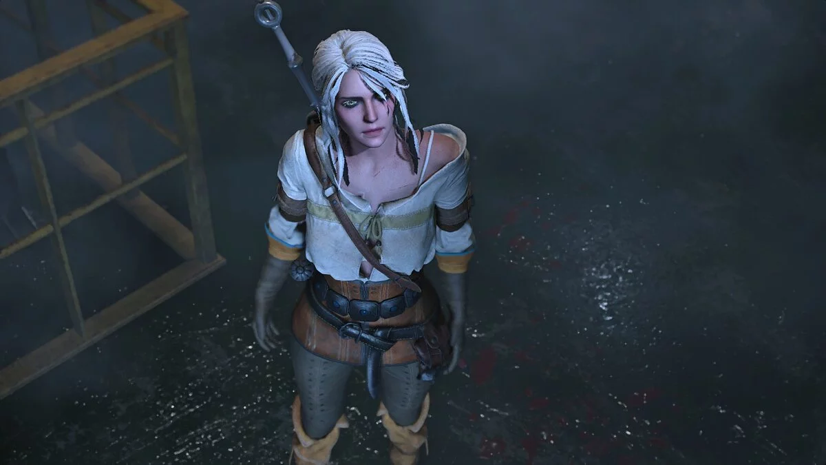 Resident Evil 2 — Цири из The Witcher 3