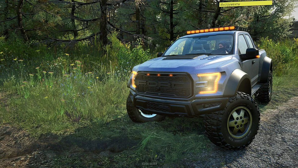 Ford F150 Raptor 2017