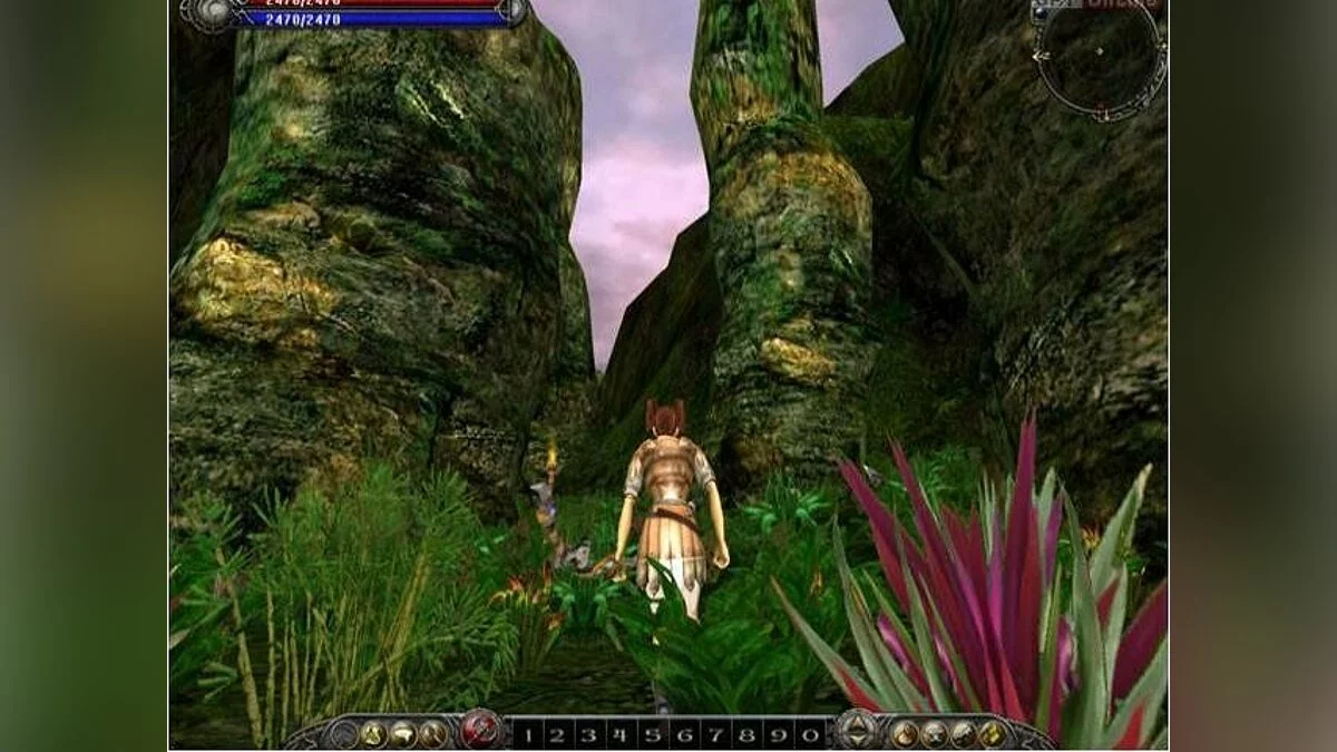 Скриншоты из Asheron's Call 2: Fallen Kings / Картинка 11
