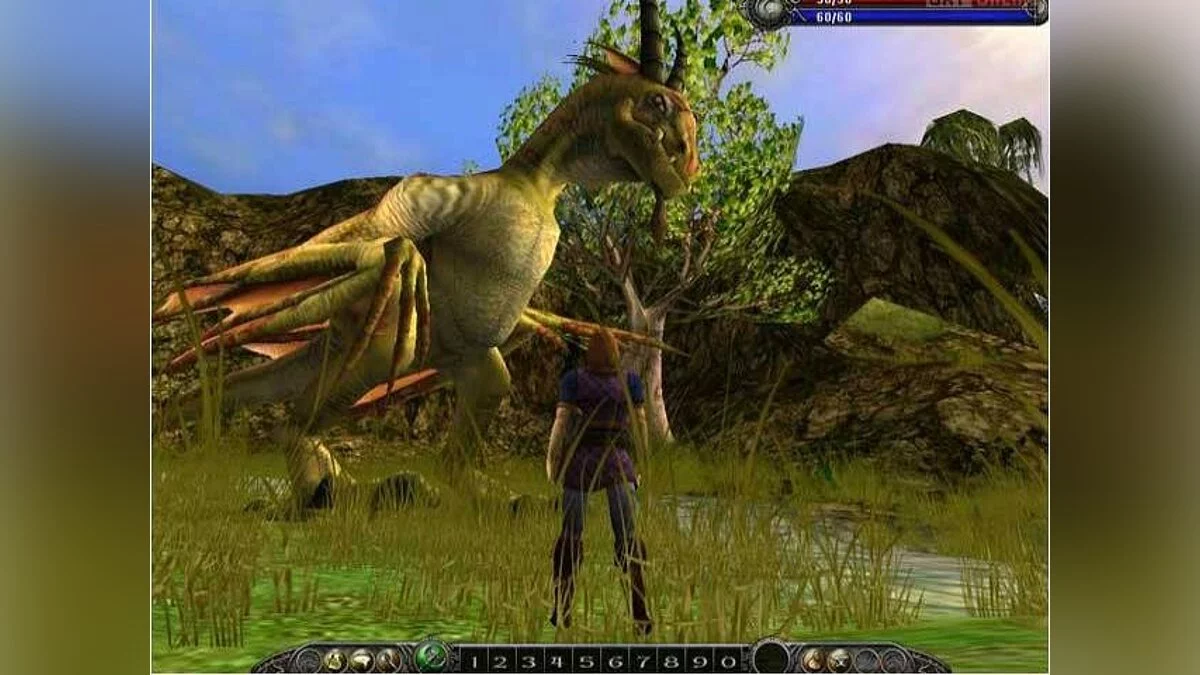 Скриншоты из Asheron's Call 2: Fallen Kings / Картинка 14
