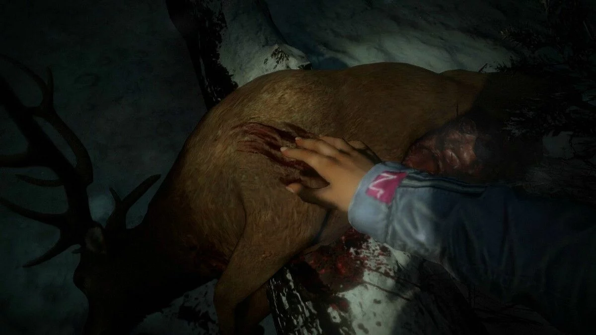 Скриншоты из Until Dawn 2015 / Картинка 5