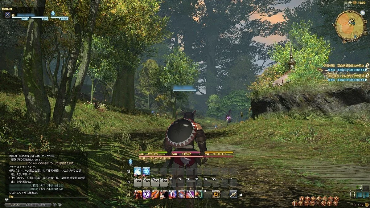 Скриншоты из Final Fantasy XIV Online / Картинка 209