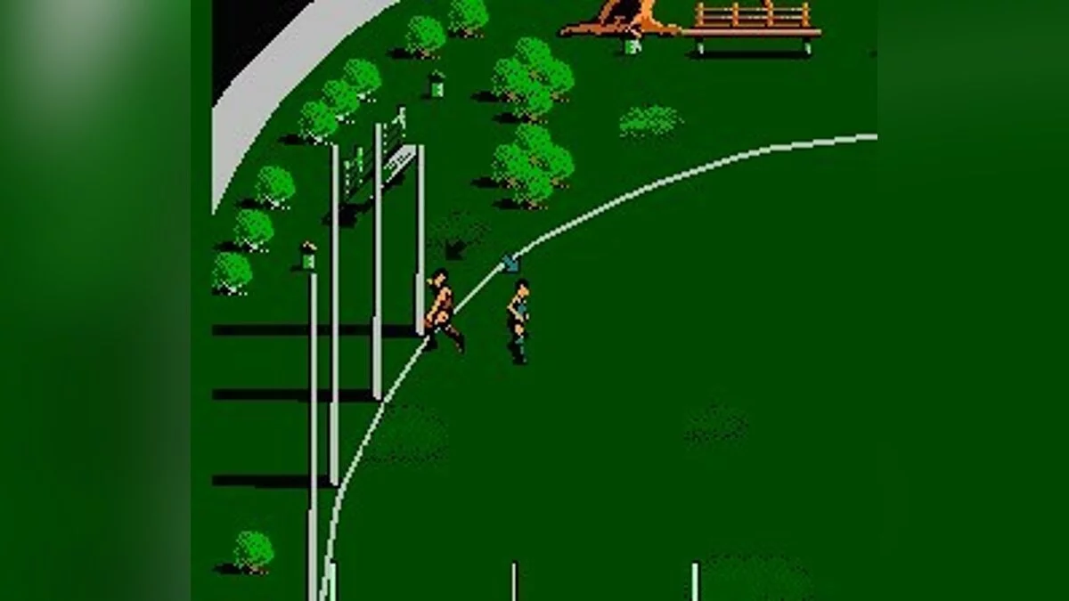 Скриншоты из Aussie Rules Footy / Картинка 17