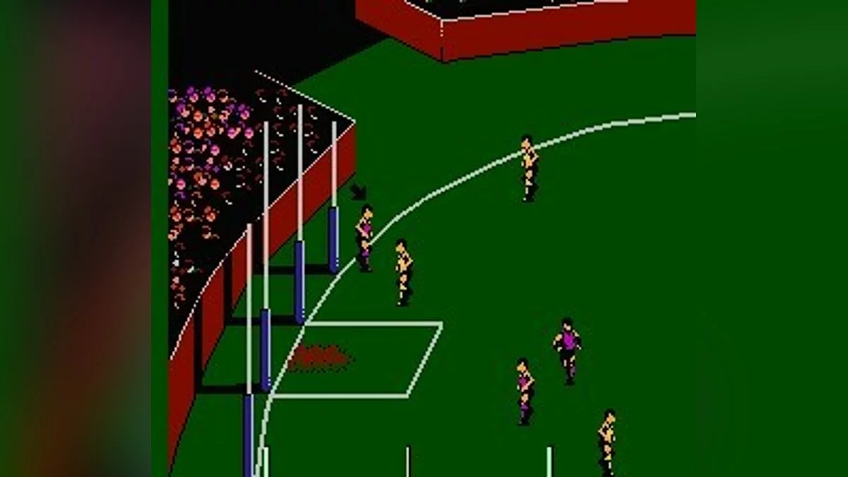 Скриншоты из Aussie Rules Footy / Картинка 20