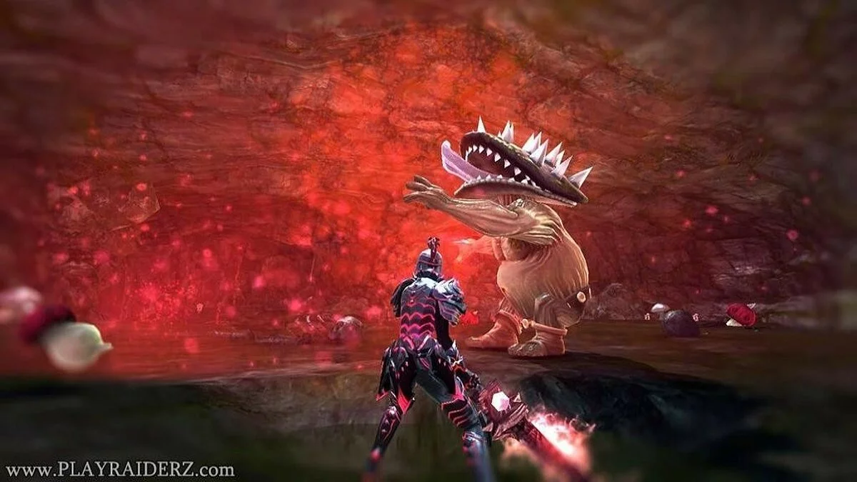 Скриншоты из Raiderz / Картинка 199