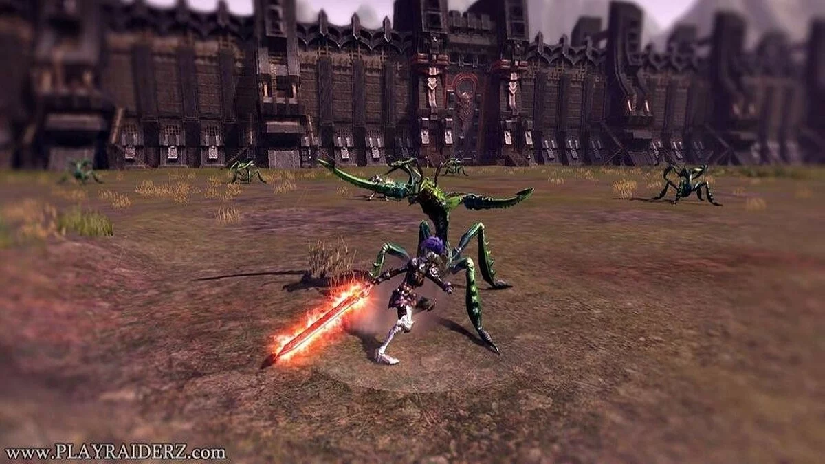 Скриншоты из Raiderz / Картинка 204