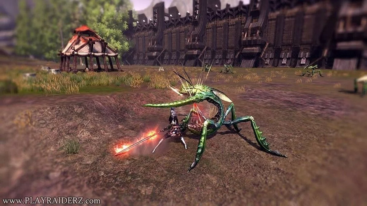 Скриншоты из Raiderz / Картинка 206