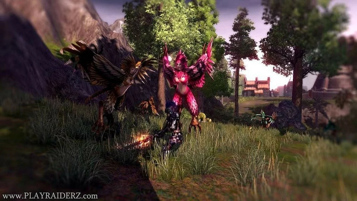 Скриншоты из Raiderz / Картинка 213