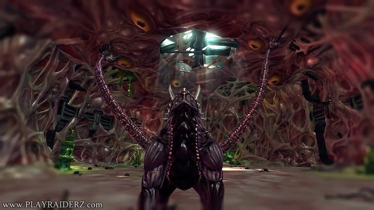 Скриншоты из Raiderz / Картинка 103