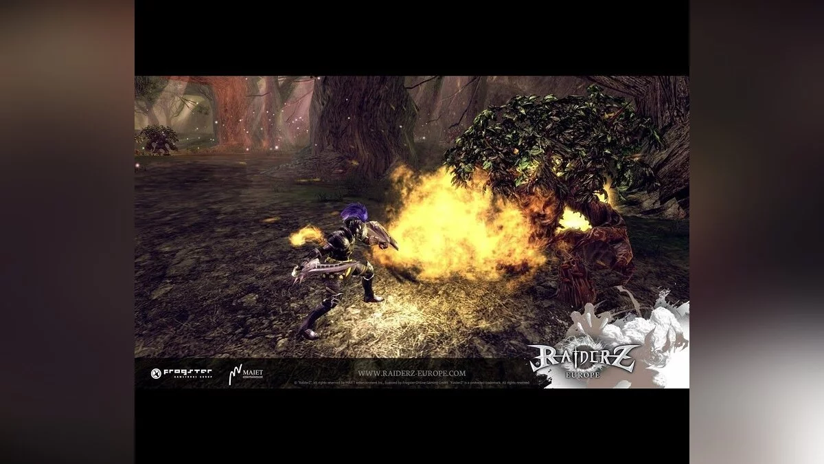 Скриншоты из Raiderz / Картинка 57
