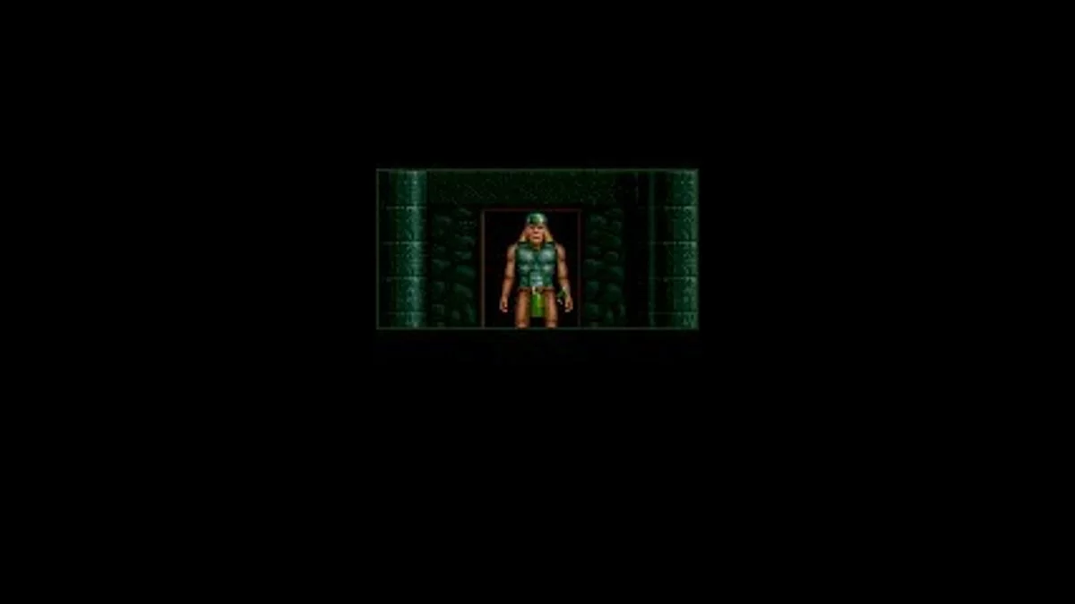 Скриншоты из Barbarian 2 / Картинка 28