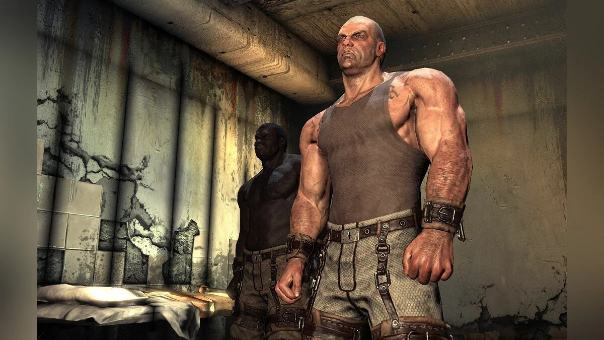 Скриншоты из Batman: Arkham Asylum / Картинка 275