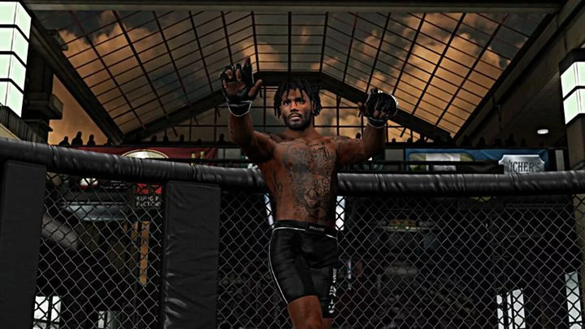 Скриншоты из Bellator: MMA Onslaught / Картинка 13