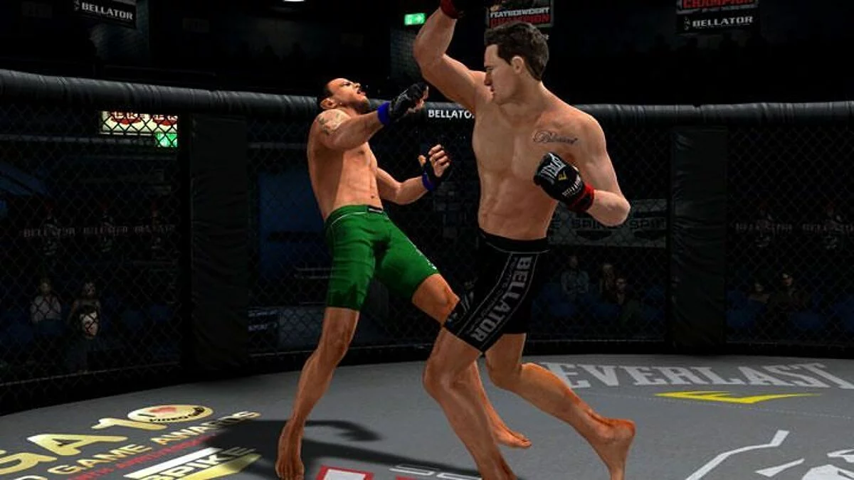 Скриншоты из Bellator: MMA Onslaught / Картинка 24
