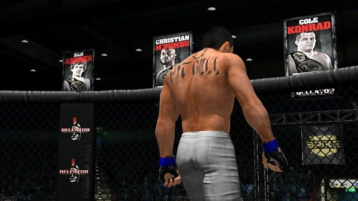 Скриншоты из Bellator: MMA Onslaught / Картинка 25
