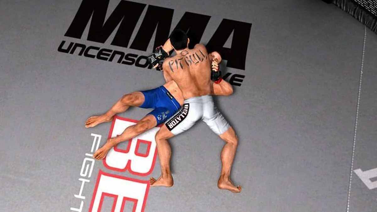 Скриншоты из Bellator: MMA Onslaught / Картинка 26
