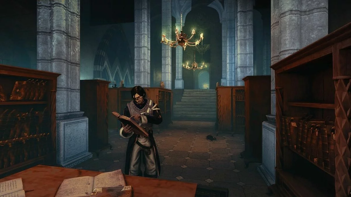 Скриншоты из Risen 2: Dark Waters / Картинка 33