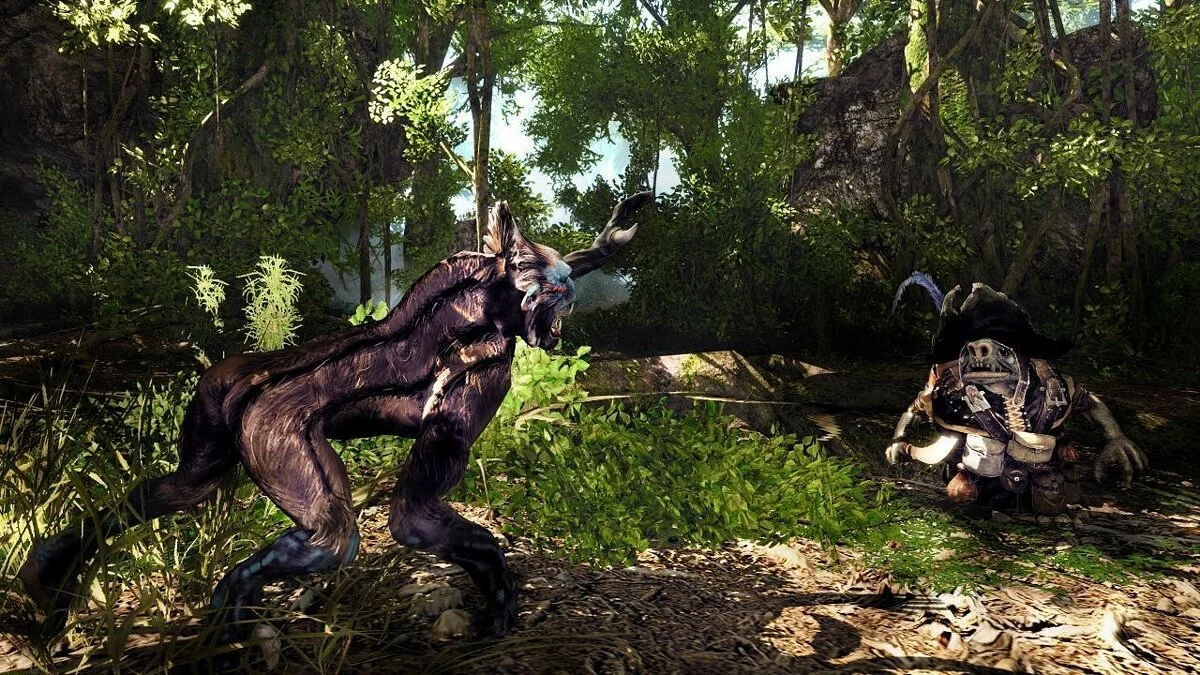 Скриншоты из Risen 2: Dark Waters / Картинка 41