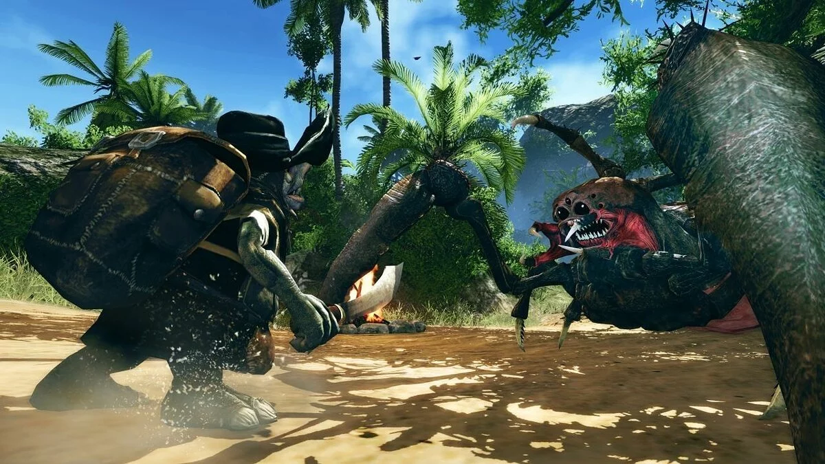 Скриншоты из Risen 2: Dark Waters / Картинка 43