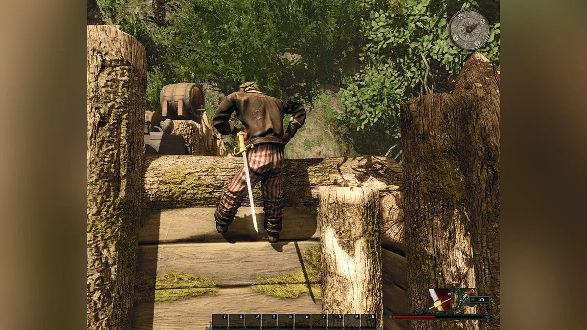 Скриншоты из Risen 2: Dark Waters / Картинка 120