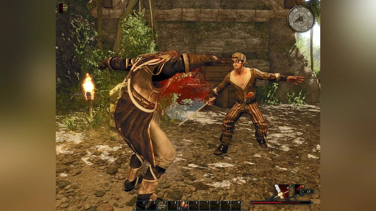Скриншоты из Risen 2: Dark Waters / Картинка 124