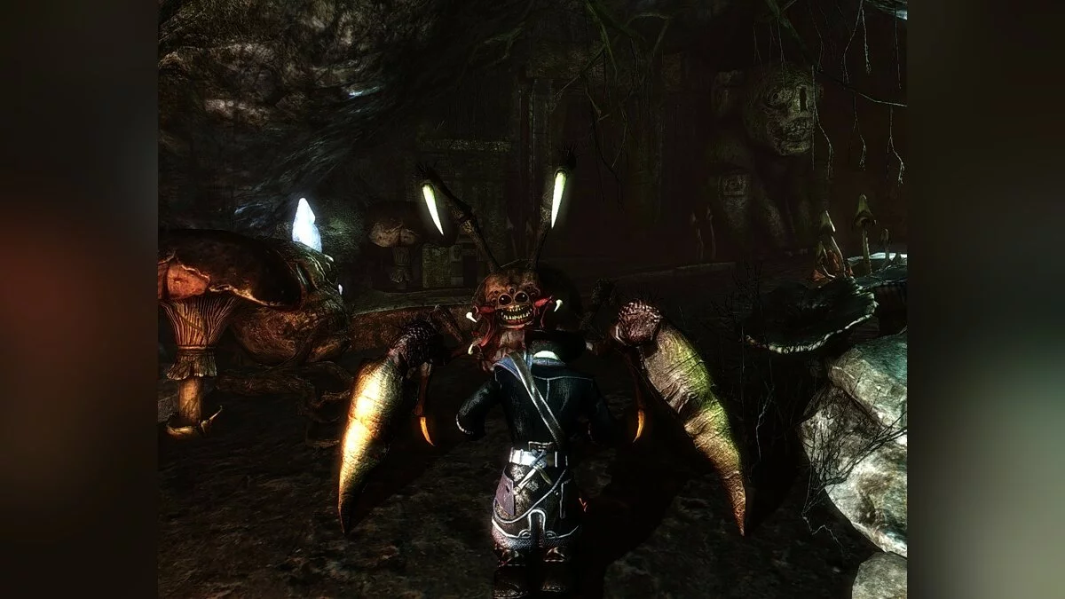 Скриншоты из Risen 2: Dark Waters / Картинка 128