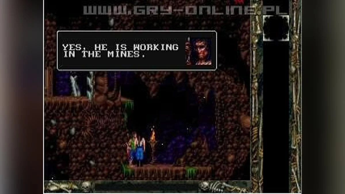 Скриншоты из Blackthorne / Картинка 8
