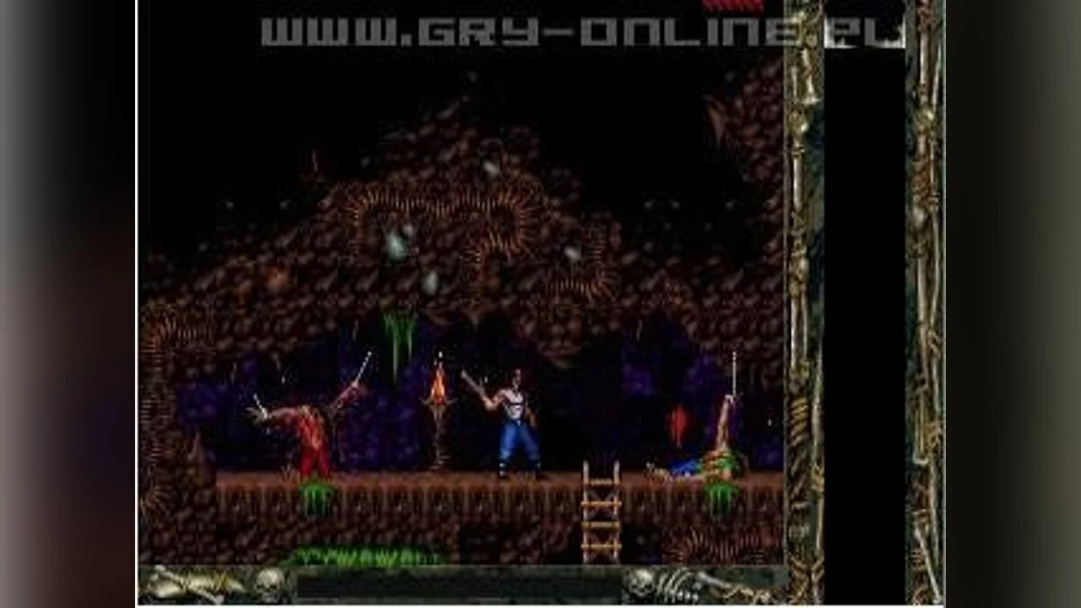 Скриншоты из Blackthorne / Картинка 11