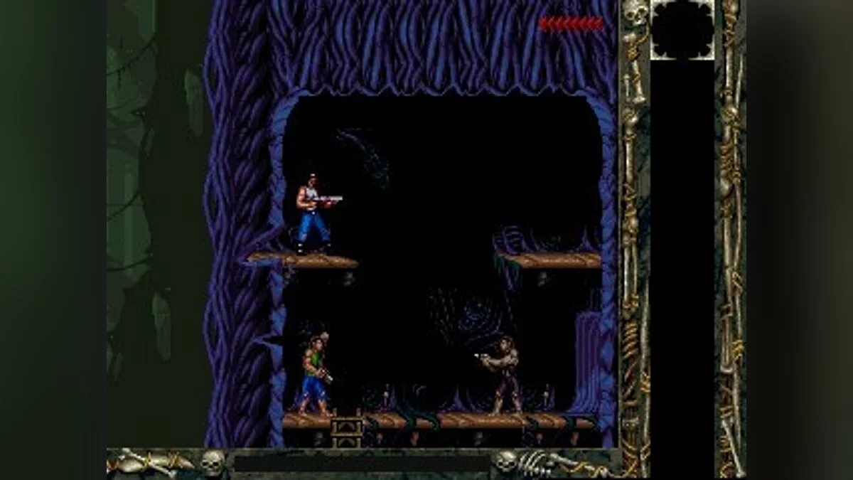 Скриншоты из Blackthorne / Картинка 24