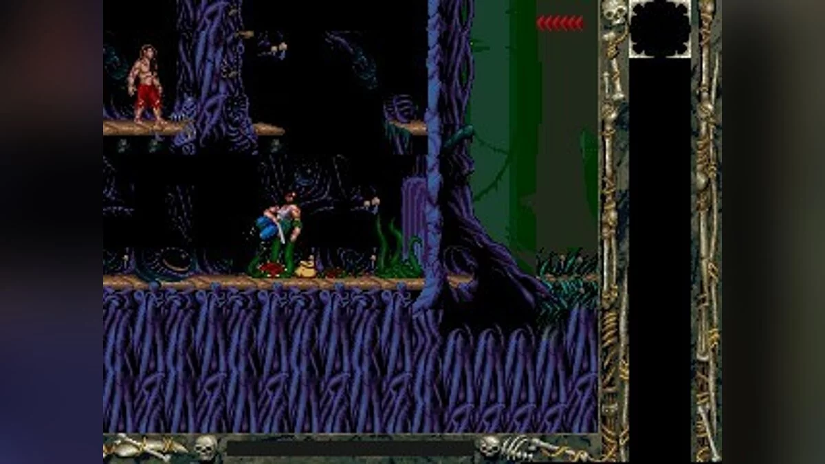 Скриншоты из Blackthorne / Картинка 32