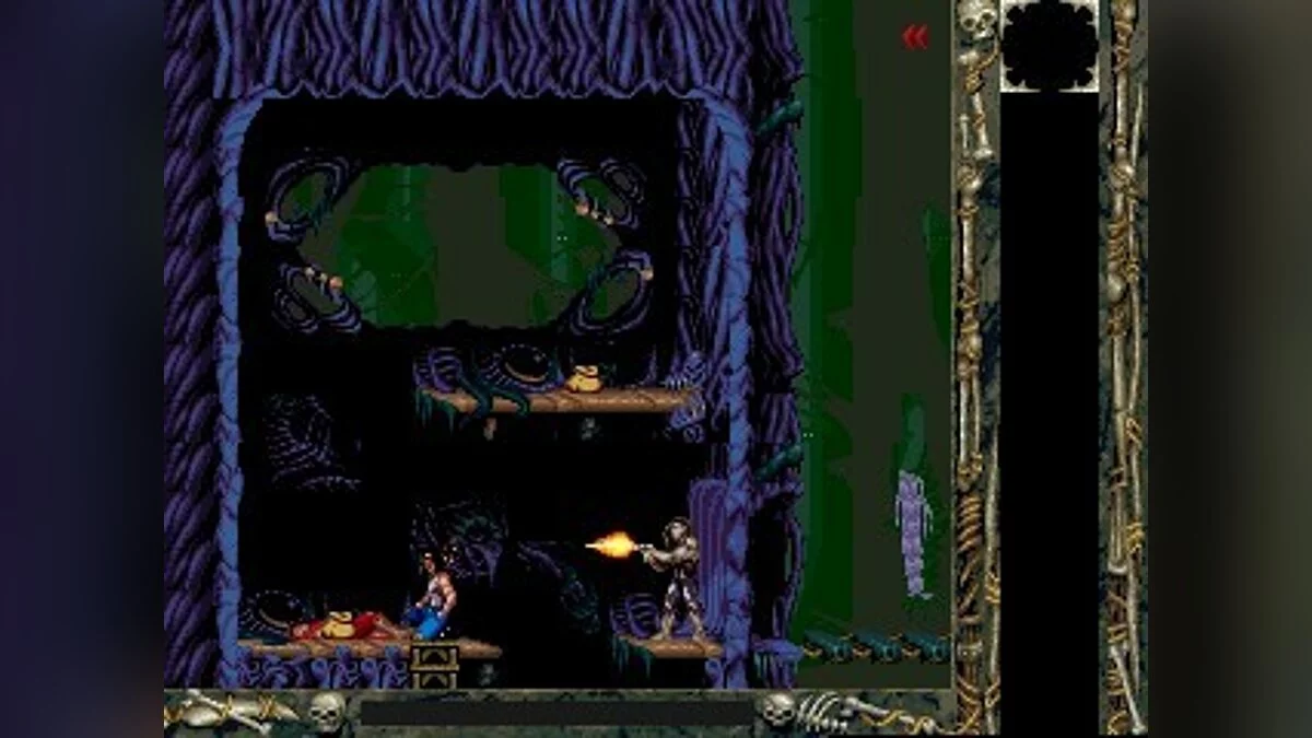 Скриншоты из Blackthorne / Картинка 33
