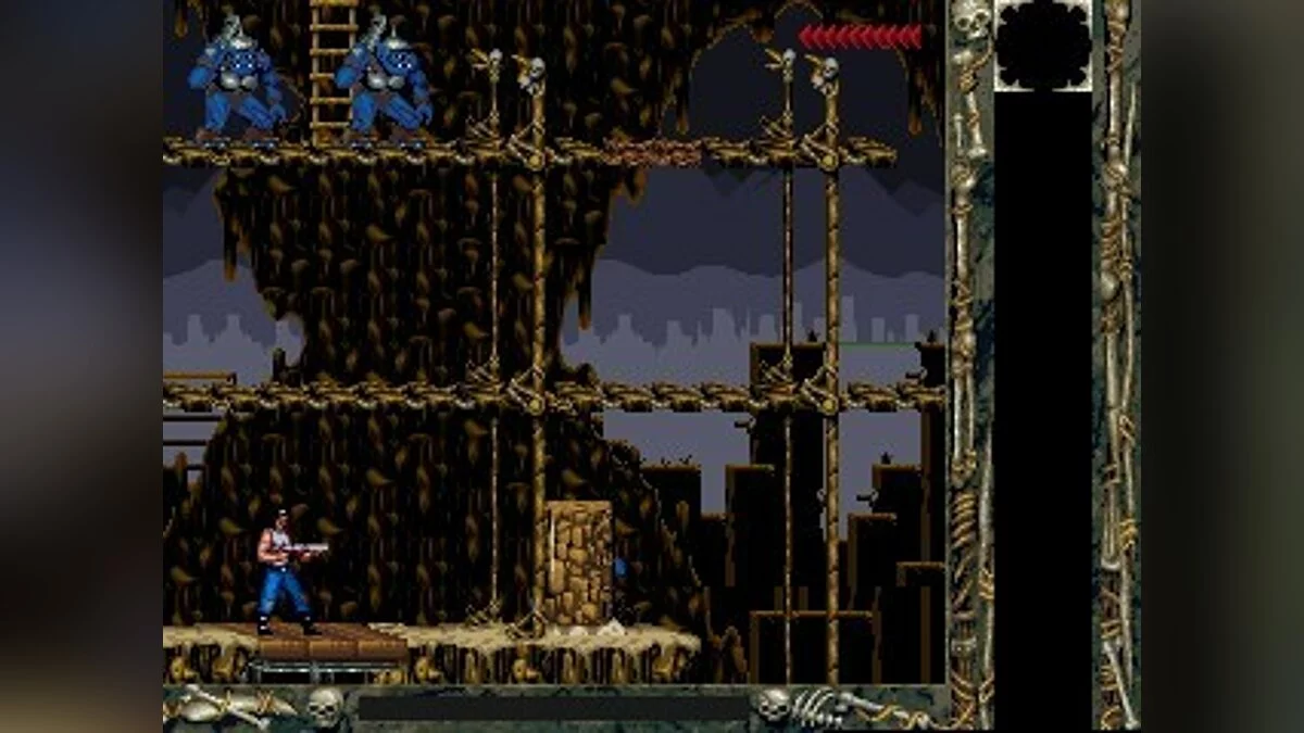 Скриншоты из Blackthorne / Картинка 34