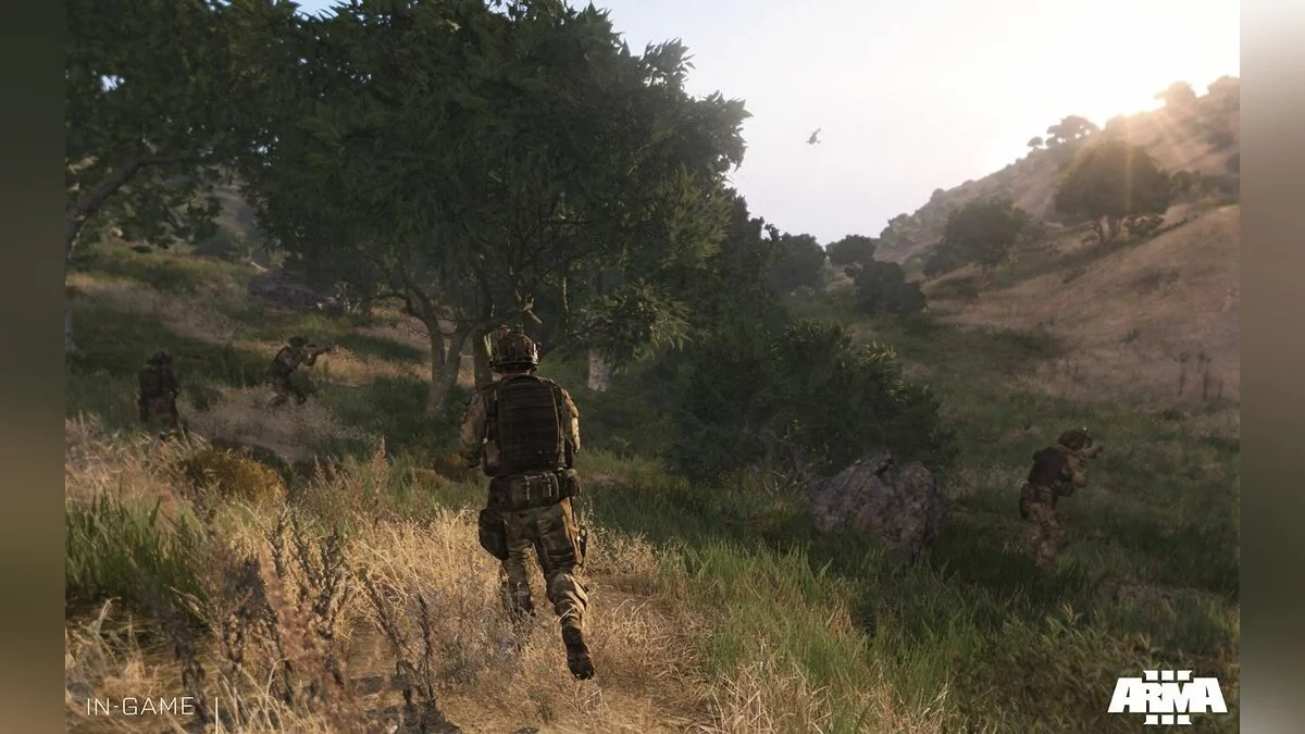 Скриншоты из ArmA 3 / Картинка 126