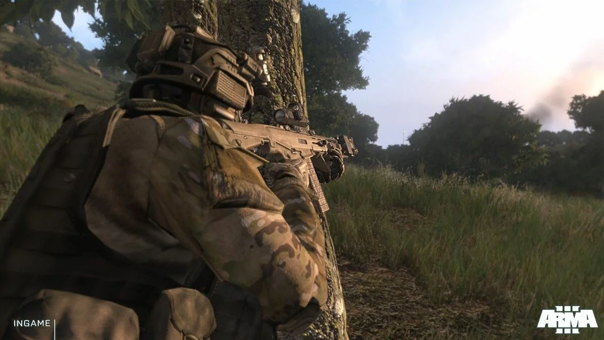 Скриншоты из ArmA 3 / Картинка 54