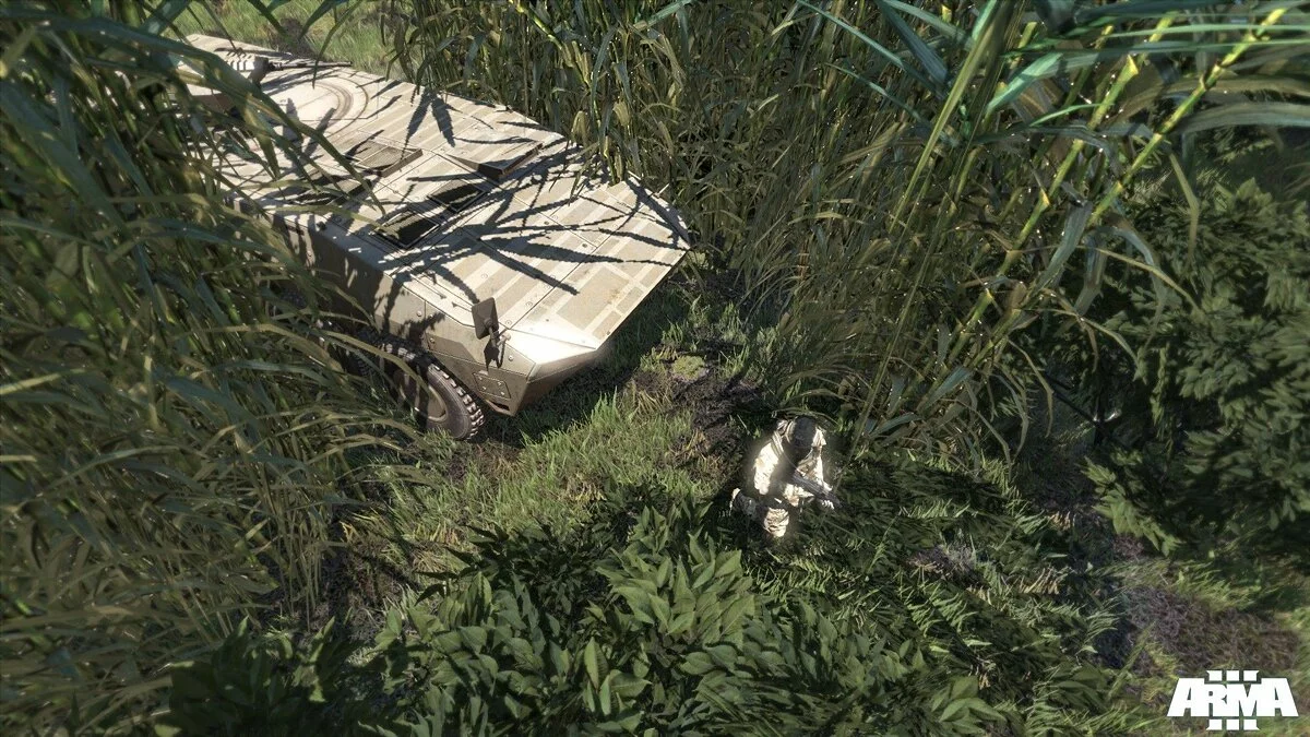 Скриншоты из ArmA 3 / Картинка 3