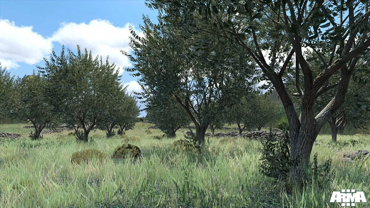 Скриншоты из ArmA 3 / Картинка 4