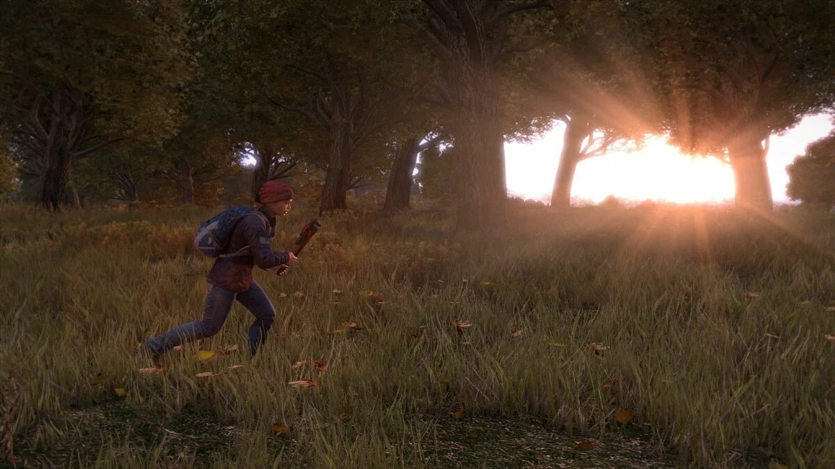 Скриншоты из DayZ / Картинка 46