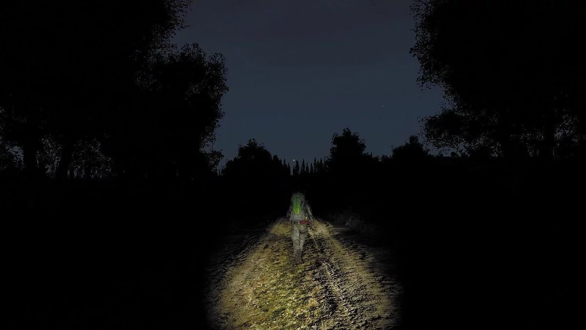 Скриншоты из DayZ / Картинка 89