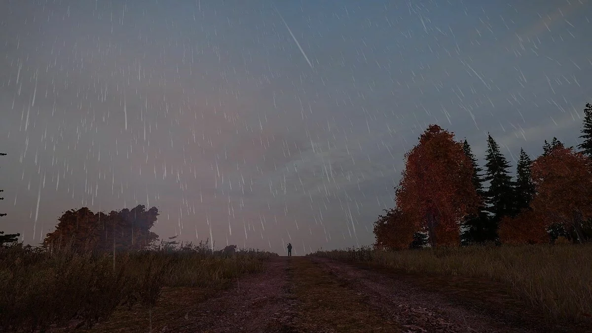 Скриншоты из DayZ / Картинка 91