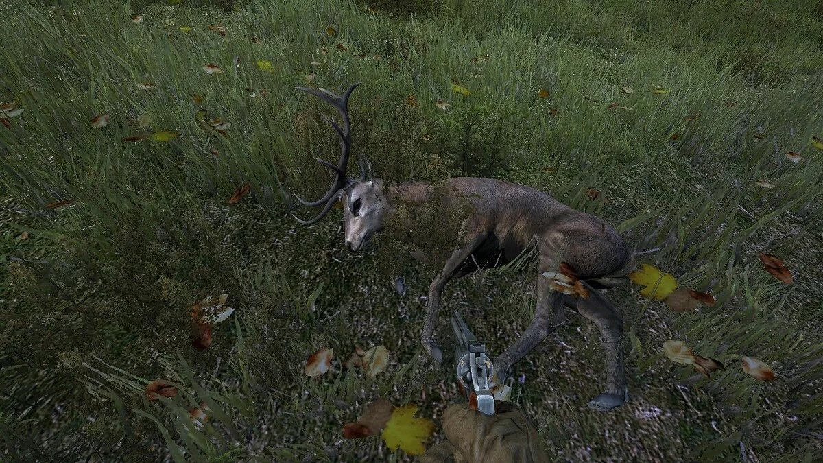 Скриншоты из DayZ / Картинка 93
