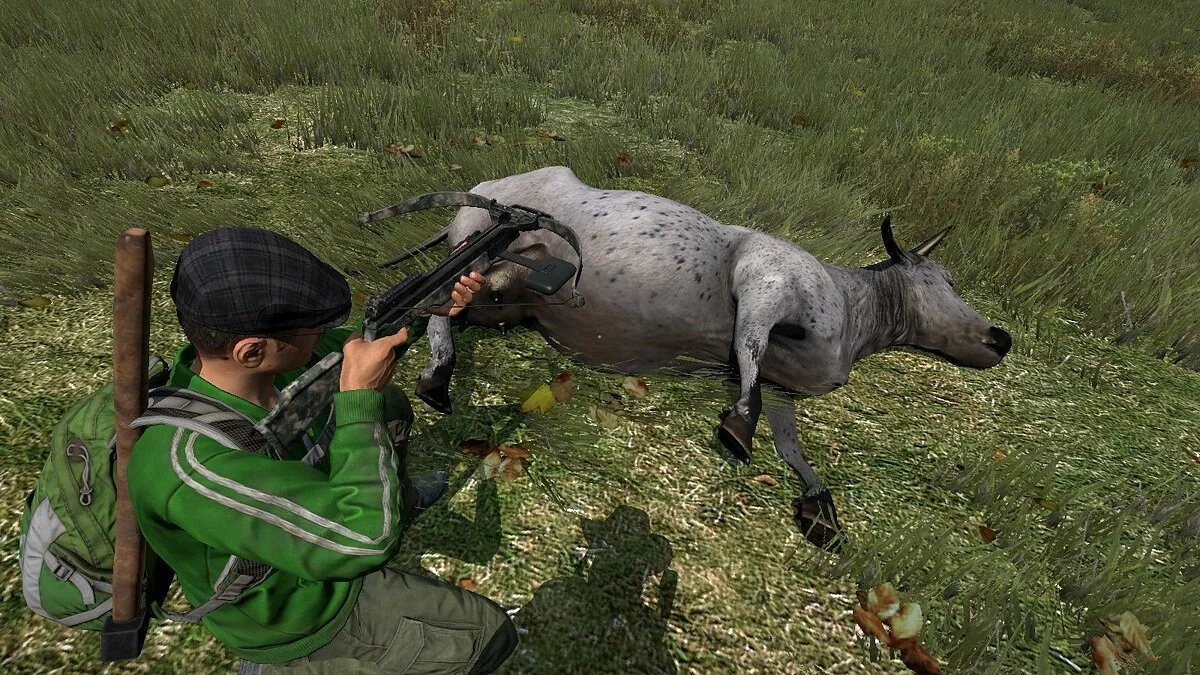 Скриншоты из DayZ / Картинка 106