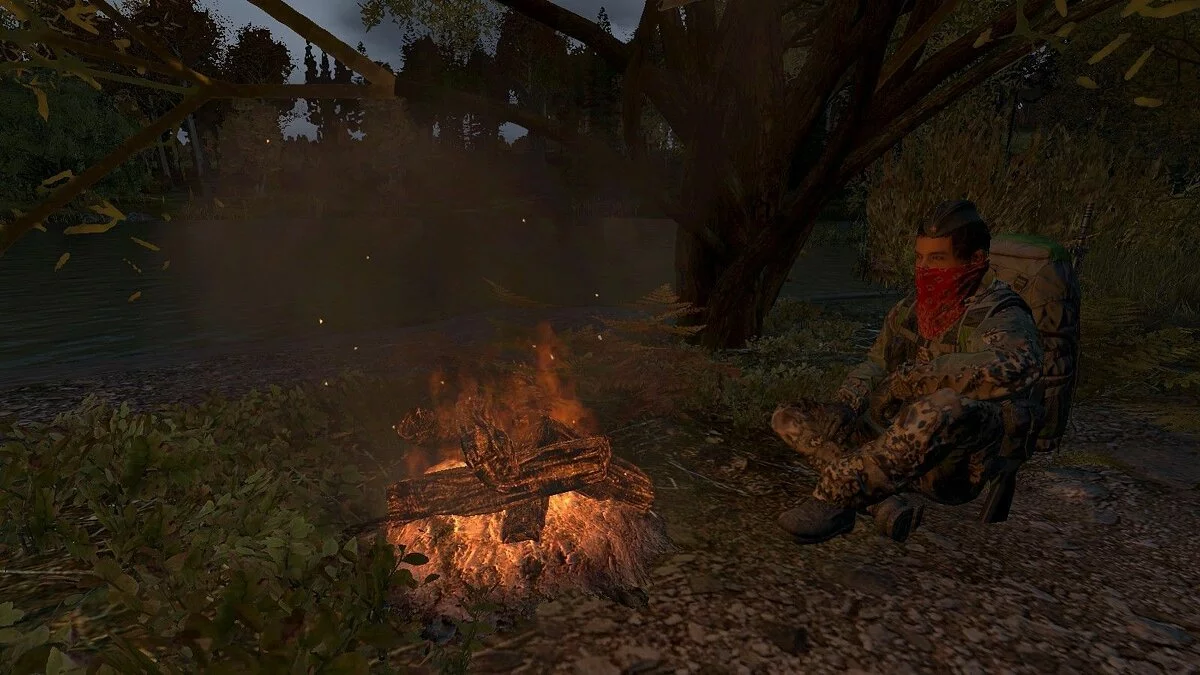 Скриншоты из DayZ / Картинка 123