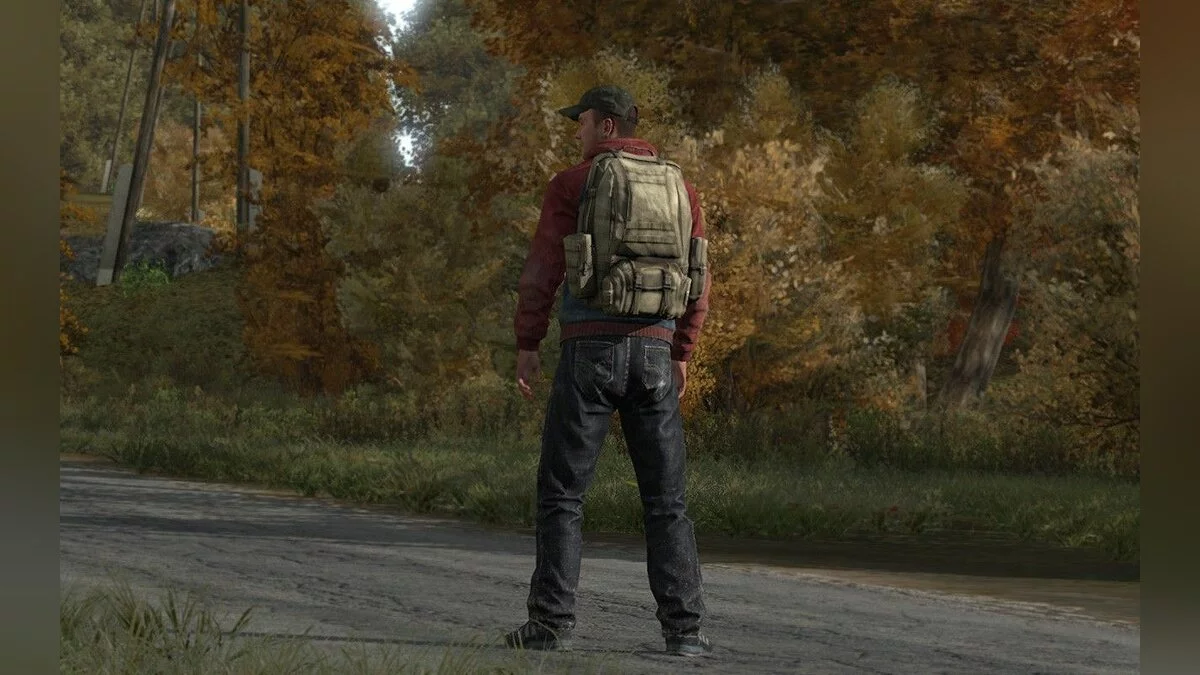 Скриншоты из DayZ / Картинка 17