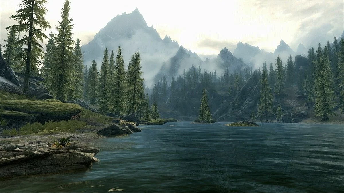 Скриншоты из The Elder Scrolls 5: Skyrim / Картинка 16