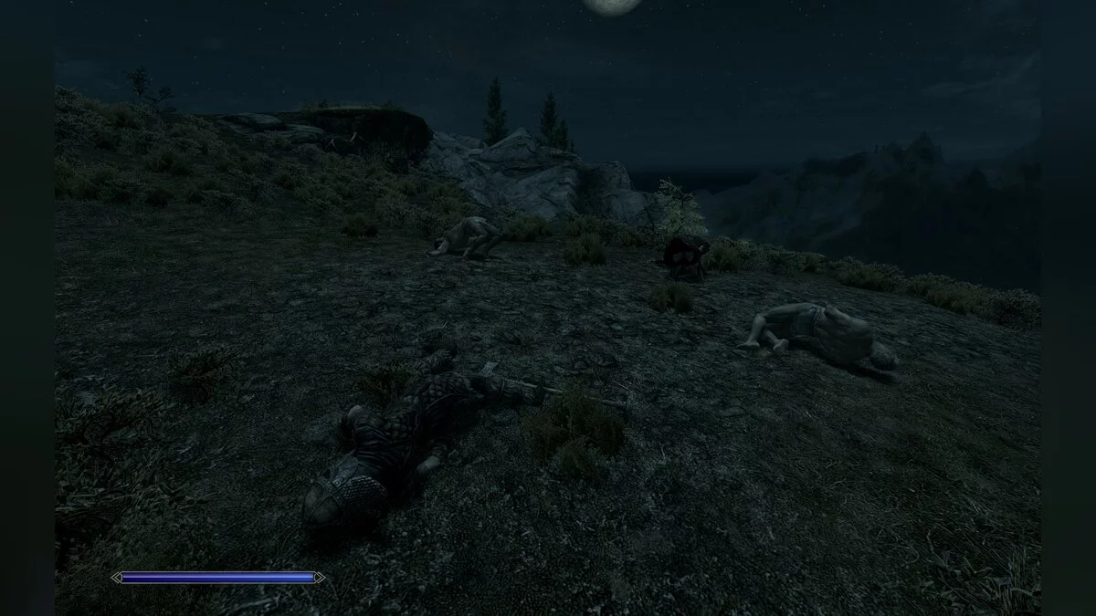 Скриншоты из The Elder Scrolls 5: Skyrim / Картинка 412