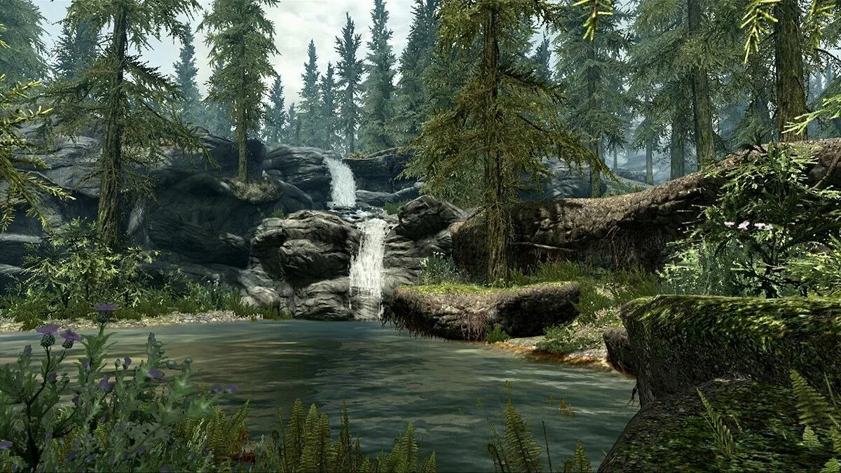 Скриншоты из The Elder Scrolls 5: Skyrim / Картинка 11