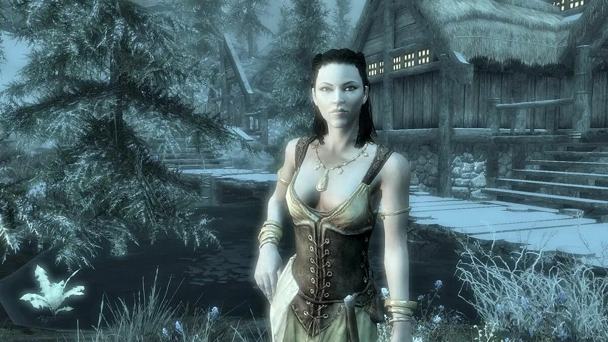 The Elder Scrolls 5: Skyrim (Skyrim) - Важные особенности