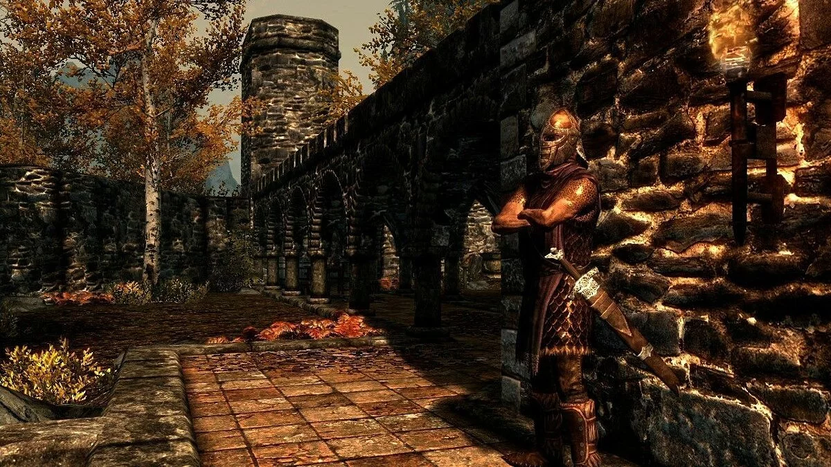 Скриншоты из The Elder Scrolls 5: Skyrim / Картинка 68